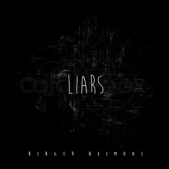 Liars by Birger Heimdal