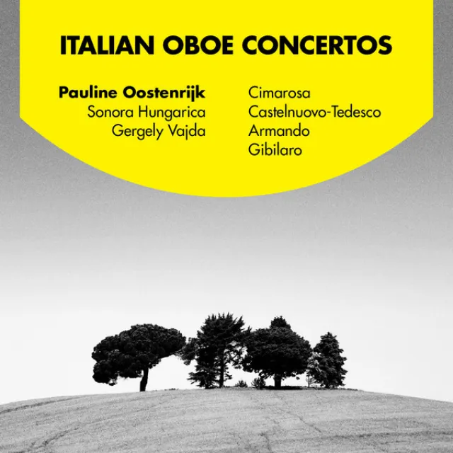 Concertino for Oboe and Strings, Op. 11: II. Andante cantabile