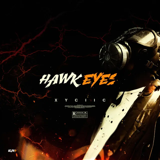 Hawk Eyes