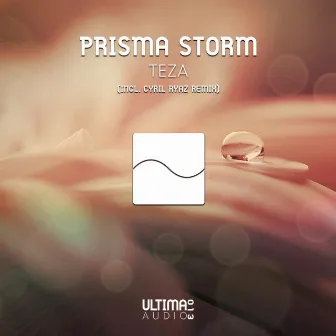 Teza by Prisma Storm