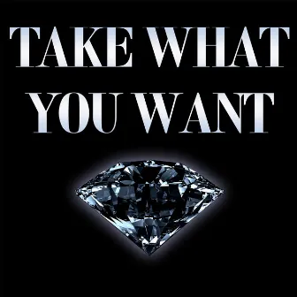 Take What You Want (Instrumental) by Michael Diamond