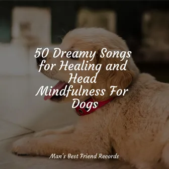 50 Dreamy Songs for Healing and Head Mindfulness For Dogs by 