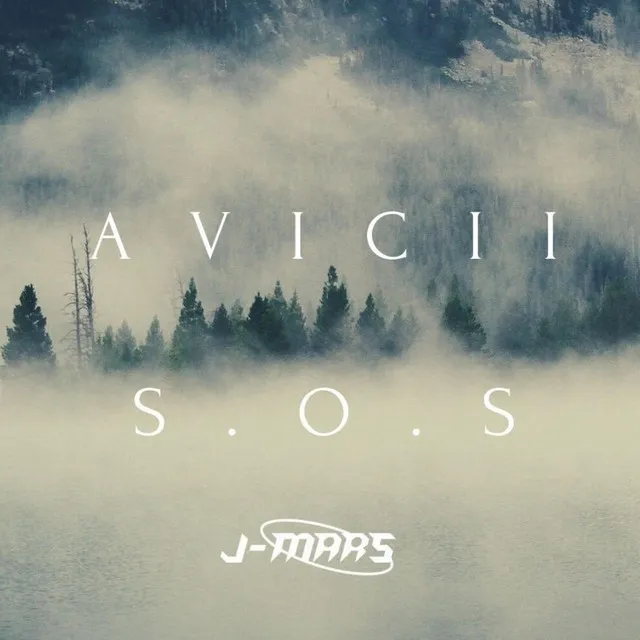 AVICII S.O.S