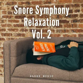 Sleep Music: Snore Symphony Relaxation Vol. 2 by Sleep Music Playlist