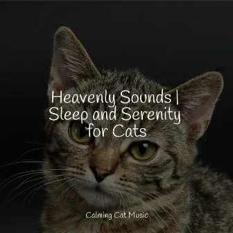 Heavenly Sounds | Sleep and Serenity for Cats by Relaxmycat