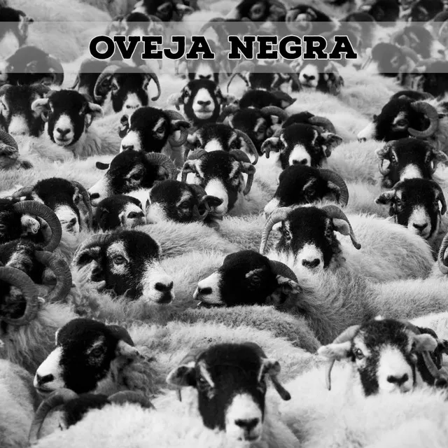 Oveja Negra