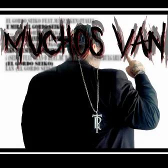 Muchos Van by Big Seiko