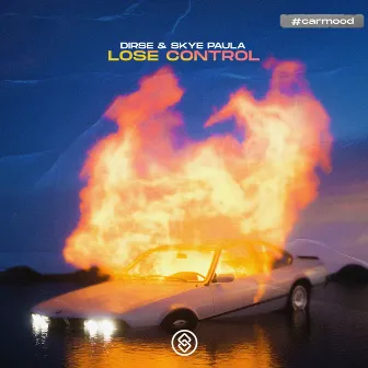 Lose Control by Skye Paula