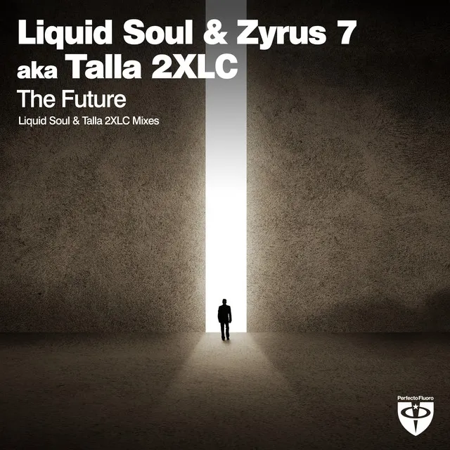 The Future - Liquid Soul Radio Edit