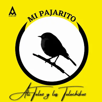 Mi Pajarito by Ali Telez y Su Grupo Telechikoz