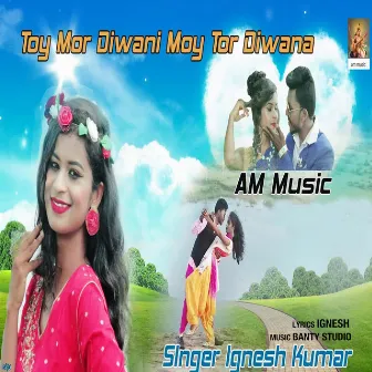 Toy Mor Diwani Moy Tor Diwana by Ignesh