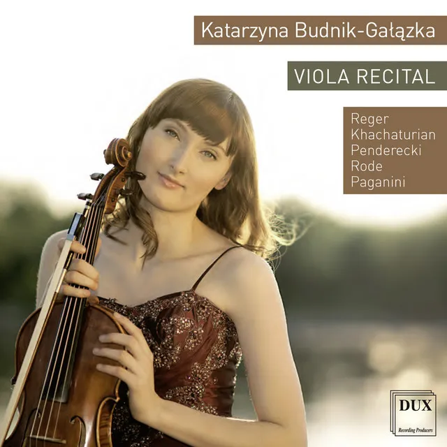 Viola Suite in D Major, Op. 131d, No. 2: III. Allegretto