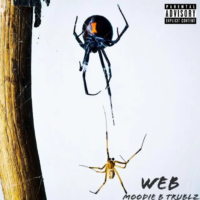 Web