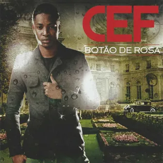 Botão de Rosa by Cef