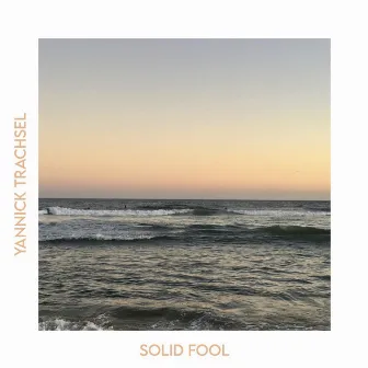 Solid Fool by Yannick Trachsel