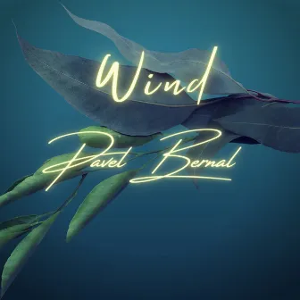 Wind by Pavel Bernal