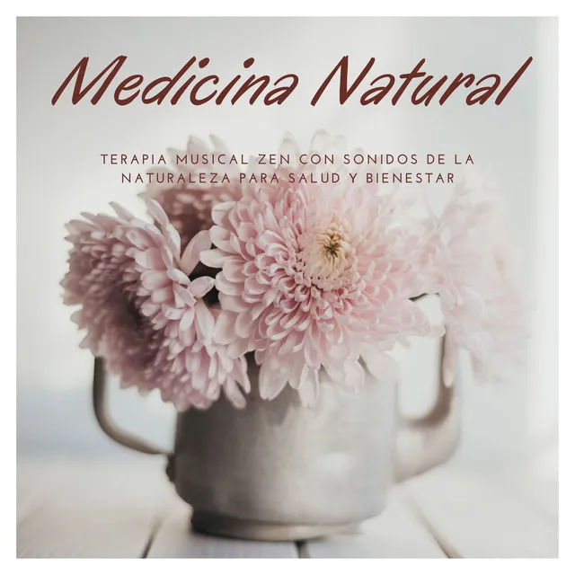 Medicina Natural: Terapia Musical Zen con Sonidos de la Naturaleza para Salud y Bienestar