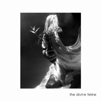 The Divine Feline by Rem Rebuzzi