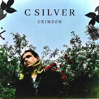 Crimson by C Silver