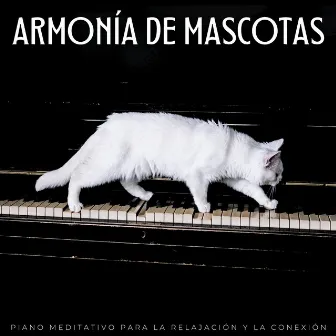 Armonía De Mascotas: Piano Meditativo Para La Relajación Y La Conexión by Musicoterapia para el cuidado de mascotas mascotas tranquilas