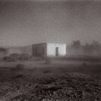 Allelujah! Don't Bend! Ascend! by Godspeed You! Black Emperor