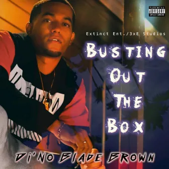 Busting Out the Box by Di'no Blade Brown