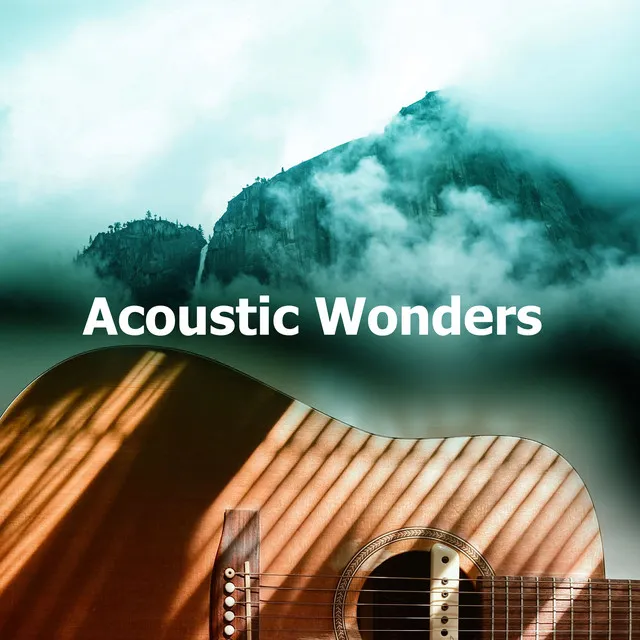 Acoustic Wonders