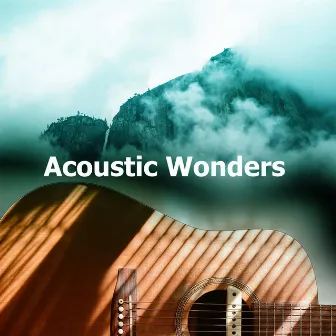 Acoustic Wonders by 