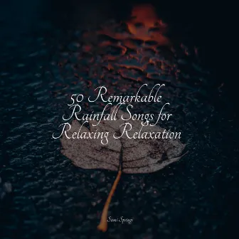 50 Remarkable Rainfall Songs for Relaxing Relaxation by Nature Recordings