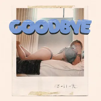 Goodbye by Awake