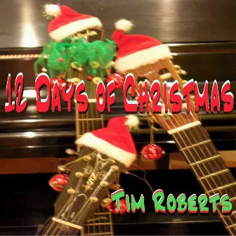 12 Days of Christmas by Tim Roberts