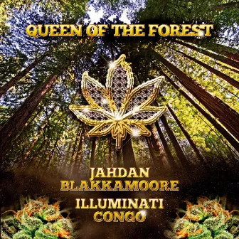 Queen of the Forest (feat. Illuminati Congo) - Single by Jahdan Blakkamoore