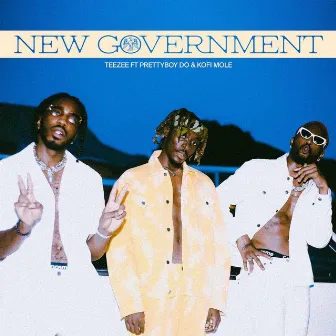 NEW GOVERNMENT by Teezee