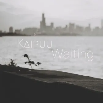 Waiting by Kaipuu