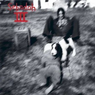 III by Sebadoh