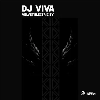 Velvet Electricity by DJ Viva