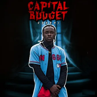 Capital Budget by Cee Boi