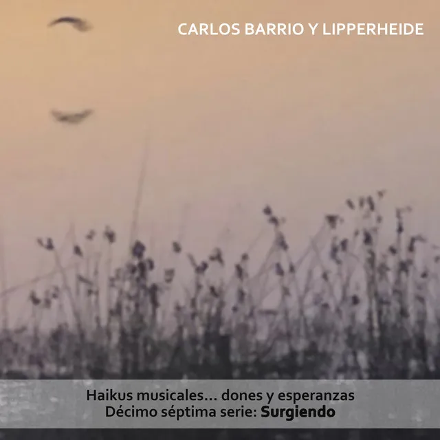 Haikus Musicales... Dones y Esperanzas. Décimo Séptima Serie: Surgiendo