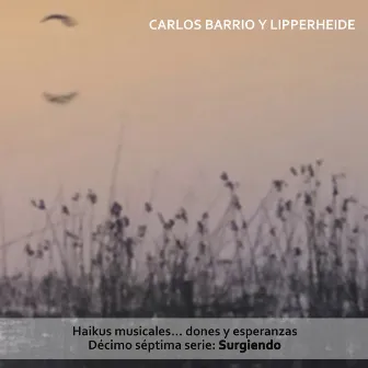 Haikus Musicales... Dones y Esperanzas. Décimo Séptima Serie: Surgiendo by Carlos Barrio y Lipperheide