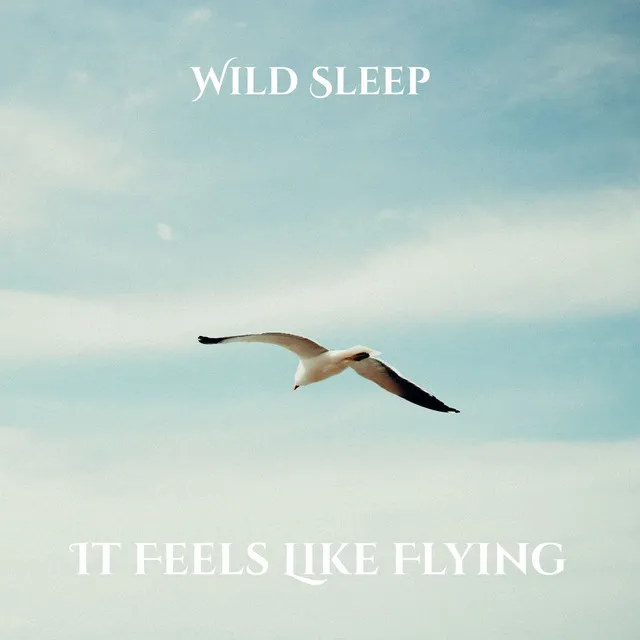 It Feels Like Flying