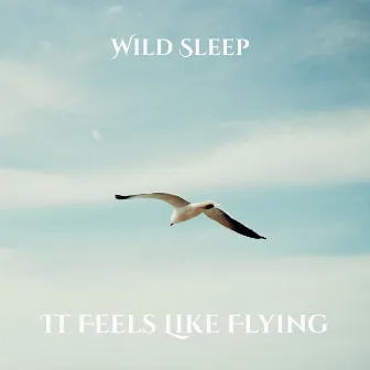 It Feels Like Flying by Wild Sleep