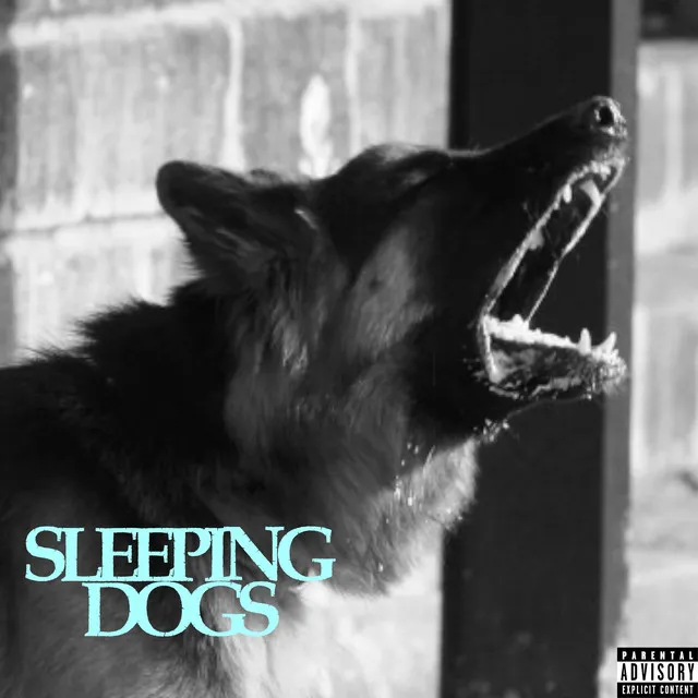 Sleeping Dogs