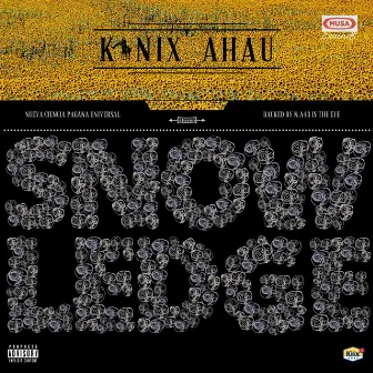 Snowledge by Kinix Ahau