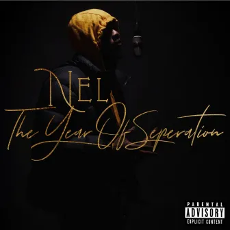 The Year Of Separation by Nel