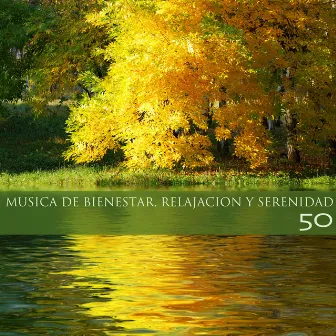 Musica de Bienestar, Relajacion y Serenidad 50 - Musica de Fundo para Descansar y Liberar la Mente by Unknown Artist