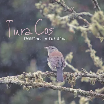 Tweeting in the Rain by Tura Cos