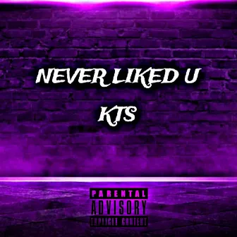 NEVER LIKED YOU by Ktstherapper