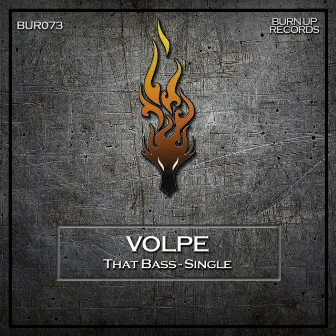 That Bass by Volpe