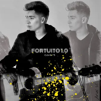 Fortuito 1.0 by Ariel Vi