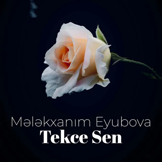 Tekce Sen